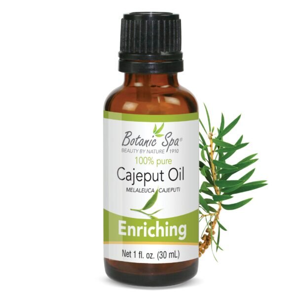 Cajeput Essential Aromatherapy and Body Oil - 1 Oz