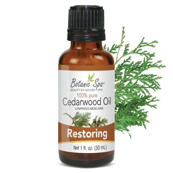 Cedarwood Essential Aromatherapy and Body Oil - 1 Oz