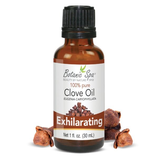 Clove Essential Aromatherapy and Body Oil - 1 Oz